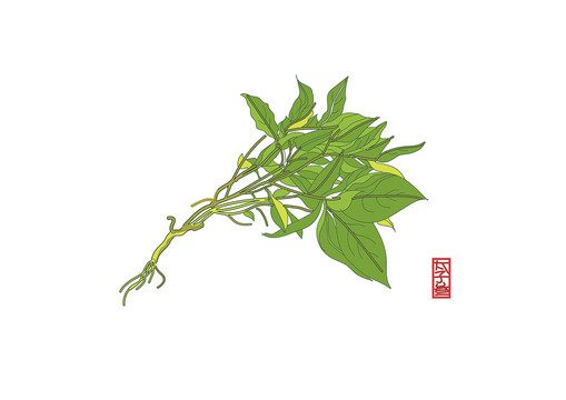 太子參