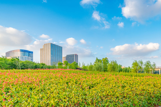 城市花园