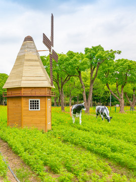 上海大宁公园风车奶牛花园景观