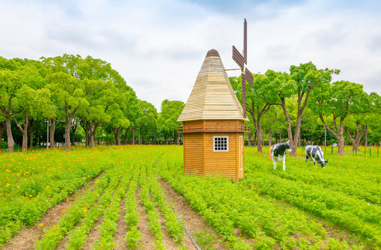 上海大宁公园风车奶牛花园景观