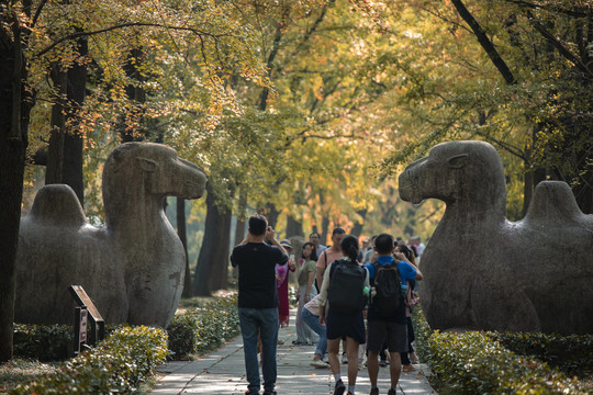 石象路神道秋景