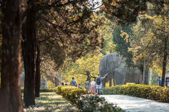 石象路神道秋景