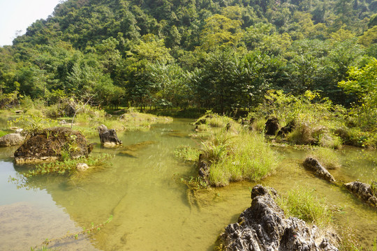 贵州荔波小七孔景区翠谷湿地