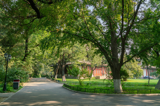 北京大学校园风光