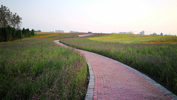 都市花海