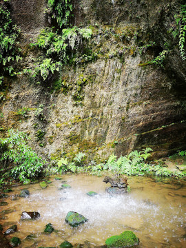 川西竹海滴水崖