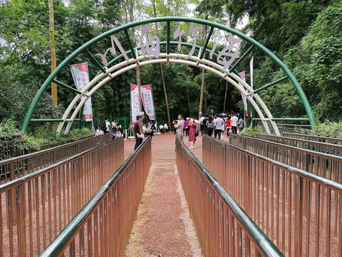 川西竹海大门