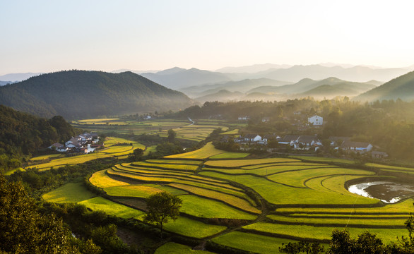 田园风光