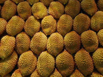 榴蓮