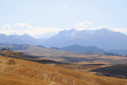 江布拉克美丽风景