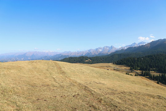 天山山脉美丽景色