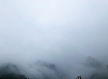 山中的雾