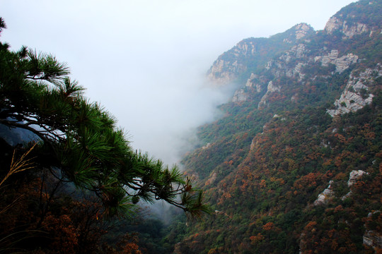 庐山景色