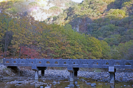 蒲石河枫叶秋色