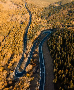 林间大道