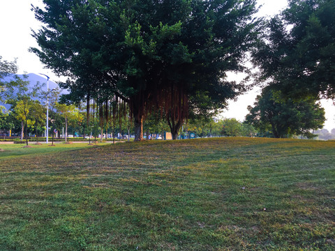 公園綠地