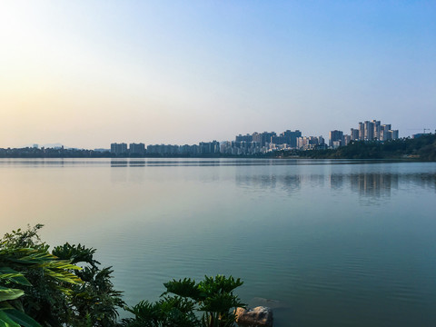 清晨的波海湖公園