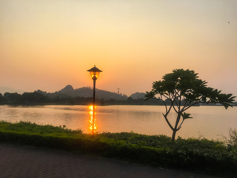 清晨的波海湖公園