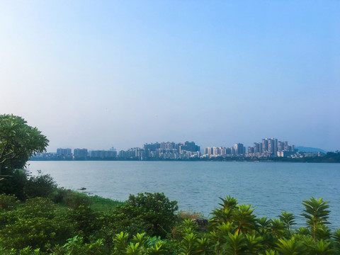 清晨的波海湖公園
