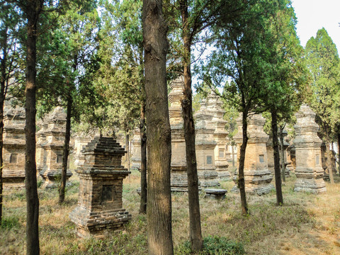 嵩山少林寺塔林