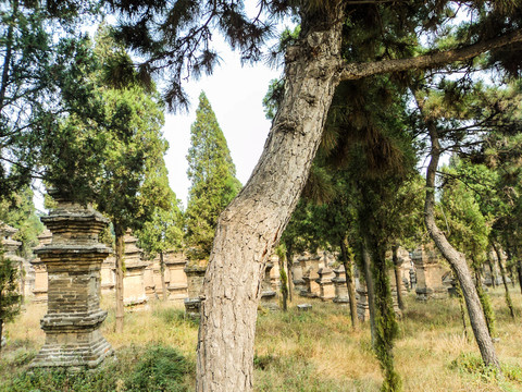 嵩山少林寺塔林