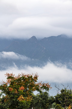 秦岭云海