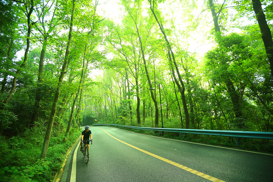 环山公路