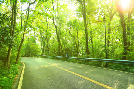 环山公路