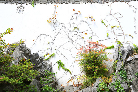 杭州胡雪岩故居庭院背景墙