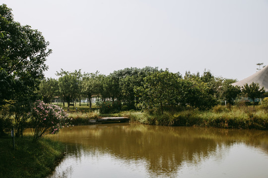 湖水自然风景