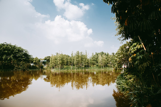 湖水自然风景