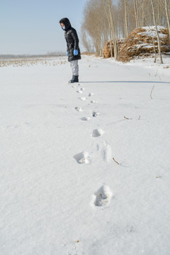 东北农村雪地