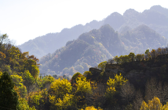 秦岭秋色