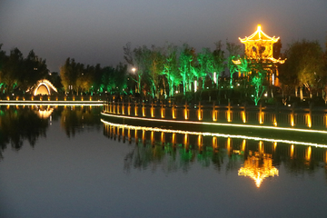 朱雀湖夜景