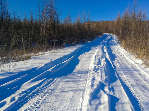 厚厚积雪的森林道路
