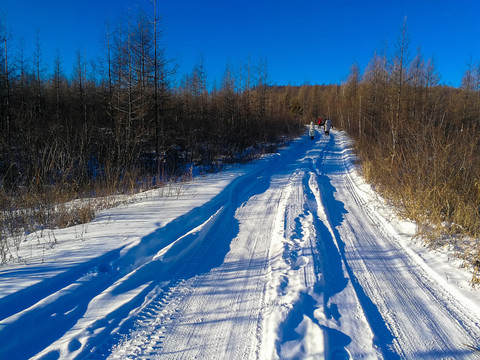 积雪森林道路游客