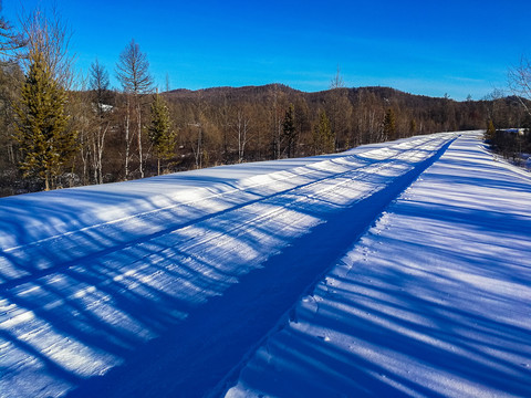 森林中积雪的道路