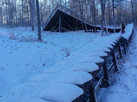 积雪的木栈道