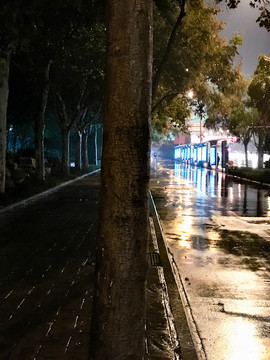 雨后的世界