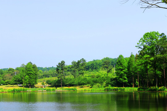 南京平山森林公园