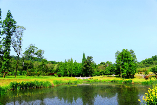 南京平山森林公园