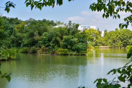 西溪艺术集合村