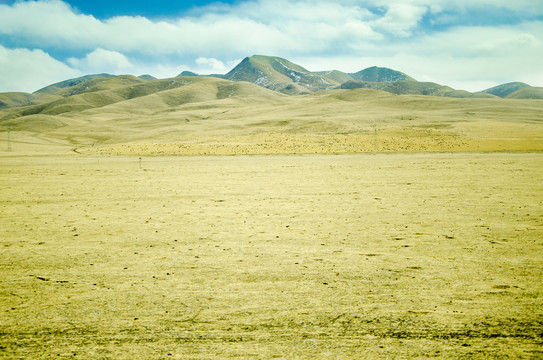 藏北牧场