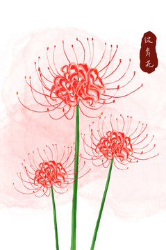 彼岸花插畫古風(fēng)