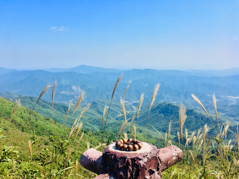 高山禅