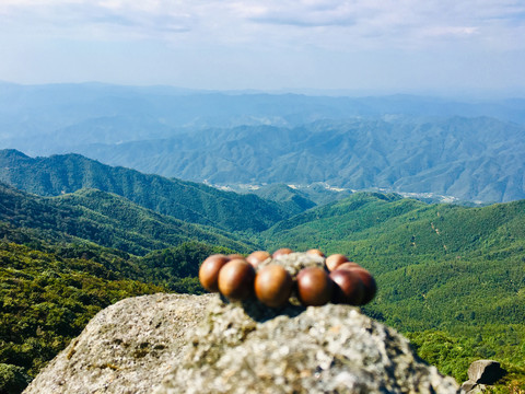 高山禅