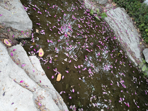 落花流水