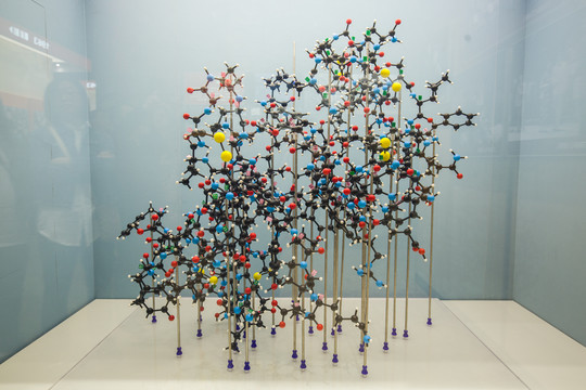 牛胰岛素分子结构