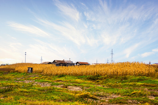 田园乡村