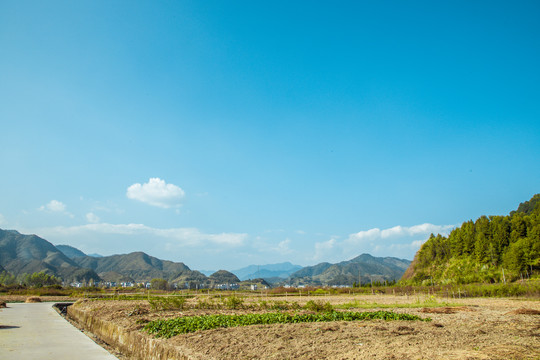 田园田野